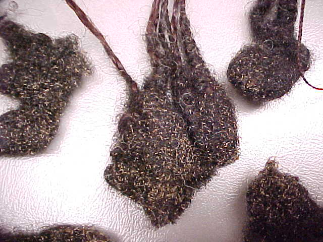 lice, head